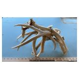 (5) DEER SHEDS