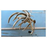(4) DEER SHEDS