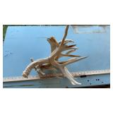 (6) DEER SHEDS