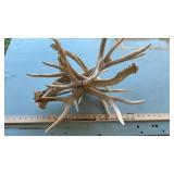 ASSORTED DEER SHEDS