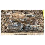 (4) PETRIFIED WOOD PIECES