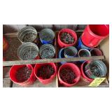 METAL SCREWS, NAILS & LAG BOLTS