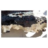 TEXAS LONGHORN COW HIDE