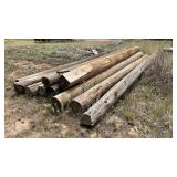 (10) UTILITY POLES