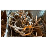 ASSORTED DEER SHEDS