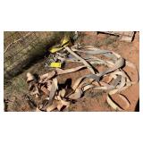 (6) TIE DOWN STRAPS
