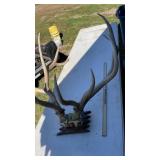 ELK RACK