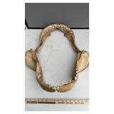 SHARK JAW