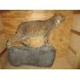 Crossroads Market & Auction Weekly Public Auction 