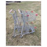 2 shopping carts