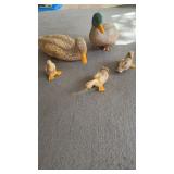 Home Interiors Duck Family. Female is 15 In Long