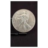2019 Walking Liberty 1 oz Silver Eagle Dollar