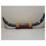 Mounted Steer Long Horn Cow Bull Decoration