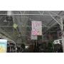 A & M Green House Liquidation