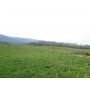 35.787 ACRES OF PASTURE, MIX OF WOODS AND MAGNIFICANT MOUNTAIN AND VALLEY VIEWS!!!