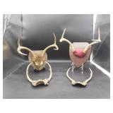 Mounted Set of Animal Antlers & 2 Sets Unmounted