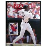Michael Jordan Beckett Baseball