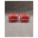 Federal  223  55 grain