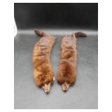 2 Mink Skin Stoles/Collars 2 Mink Skin Stoles/Collars