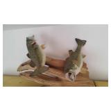 2 Fish Mounted on Driftwood Mounting 2 Fish Mounted on Driftwood Mounting