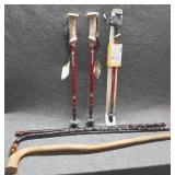 2 Canes & 3 Walking Sticks 2 Canes & 3 Walking Sticks