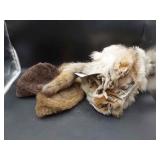 2 Coyote Furs & 2 Hats 2 Coyote Furs & 2 Hats
