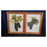 2 Grape Prints in frames