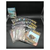 World of Wildlife Magazines
