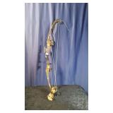 Pro Line Compound Bow