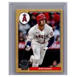 Shohei Ohtani 35th Anniversary