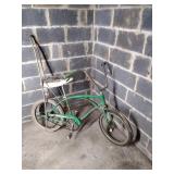 Vtg Cheetah Green Retro Bike