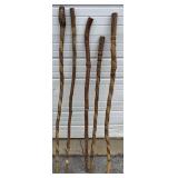 5 Walking Sticks