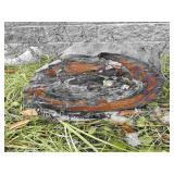 Large item of petrified wood.