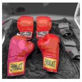 Everlast & Century Boxing Gloves