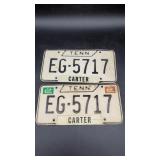 Two Matching Tennessee Tags Carter County