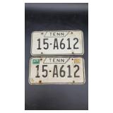 Matching Tennessee Tags #15 Carter County