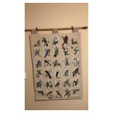 Alphabet bird hanging decor