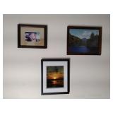 3 Framed Pictures