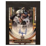 Liover Peguero Tribute Autographs Gold /75
