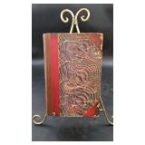 Early Charles Darwin: Geological Observations