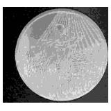 Ancient Egyptian Hieroglyphics Token Pewter? Medal