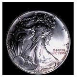 1989  American Eagle Silver Dollar