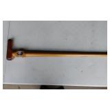 Political Walking Cane