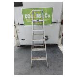 6 FT Allunimium Ladder