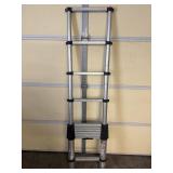 Cosco Retractable Ladder