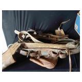 Linemans Tool Belt and Pole Tree Climbing Spikes