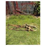 Horse Harness and Hames