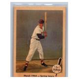 Ted Williams 1959 Fleer