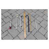 3 Canes & Reacher Grabbers & Misc
