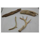 Deer Antlers & Wood Decor Items